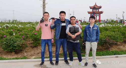 影視宣傳，我們是認(rèn)真的——西安網(wǎng)站建設(shè)助力影視行業(yè)騰飛